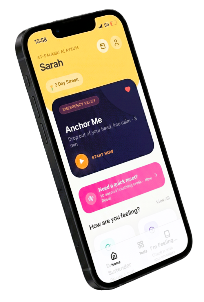 Sabrly app home screen showing Anchor Me emergency relief, breathing reset, and emotion check-in features